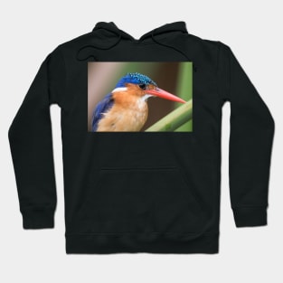 Malachite Kingfisher Hoodie